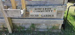 Boscawen Herb Garden