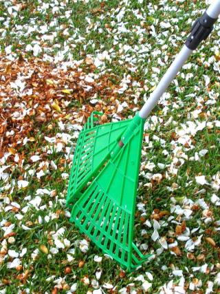 Green rake with leaves